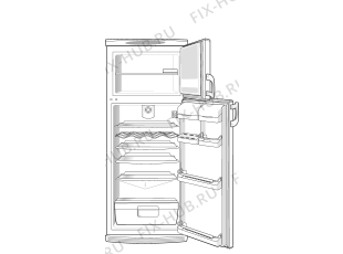 Холодильник Gorenje RF6325AC (157027, HZS3266) - Фото